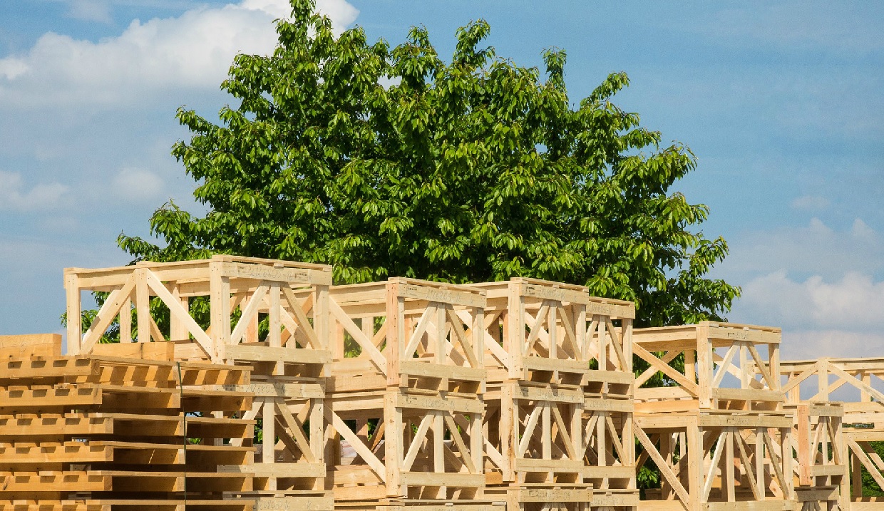 palletranden